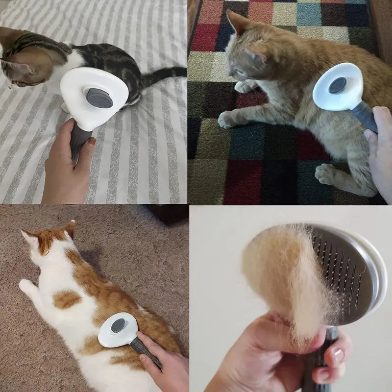 Non-Slip Self-Cleaning Grooming Brush