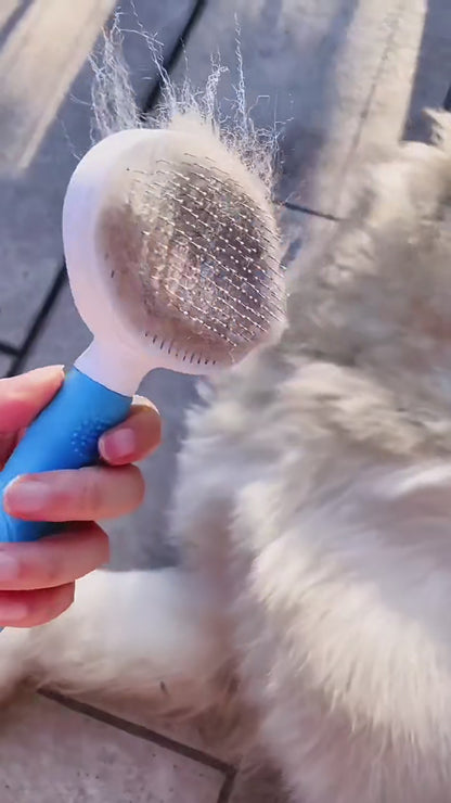 Non-Slip Self-Cleaning Grooming Brush