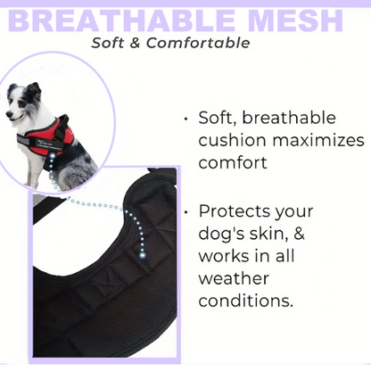 Breathable No Pull Personalized Dog Harness